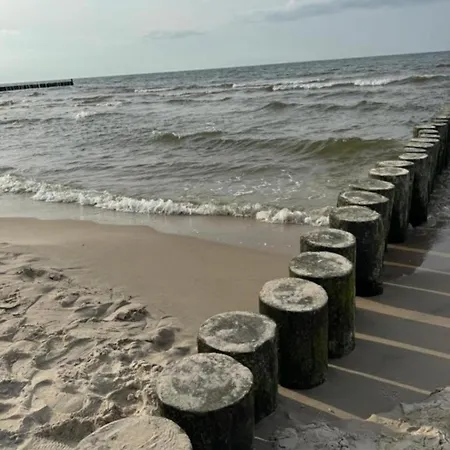 Gaya23 Ku Morzu * Sianozety